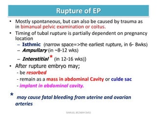 Rupture of EP
• Mostly spontaneous, but can also be caused by trauma as
in bimanual pelvic examination or coitus.
• Timing of tubal rupture is partially dependent on pregnancy
location
– Isthmic (narrow space=>the earliest rupture, in 6- 8wks)
– Ampullary (in ~8-12 wks)
– Interstitial * (in 12-16 wks))
• After rupture embryo may;
- be resorbed
- remain as a mass in abdominal Cavity or culde sac
- implant in abdominal cavity.
* may cause fatal bleeding from uterine and ovarian
arteries
SAMUEL BEZABIH (MD)
 
