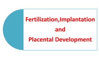 Fertilization,Implantation
and
Placental Development
 