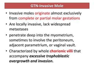 GTN-Invasive Mole
• Invasive moles originate almost exclusively
from complete or partial molar gestations
• Are locally invasive, lack widespread
metastases
• penetrate deep into the myometrium,
sometimes to involve the peritoneum,
adjacent parametrium, or vaginal vault.
• Characterized by whole chorionic villi that
accompany excessive trophoblastic
overgrowth and invasion.
 