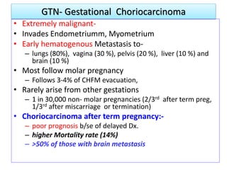 GTN- Gestational Choriocarcinoma
• Extremely malignant-
• Invades Endometriumm, Myometrium
• Early hematogenous Metastasis to-
– lungs (80%), vagina (30 %), pelvis (20 %), liver (10 %) and
brain (10 %)
• Most follow molar pregnancy
– Follows 3-4% of CHFM evacuation,
• Rarely arise from other gestations
– 1 in 30,000 non- molar pregnancies (2/3rd after term preg,
1/3rd after miscarriage or termination)
• Choriocarcinoma after term pregnancy:-
– poor prognosis b/se of delayed Dx.
– higher Mortality rate (14%)
– >50% of those with brain metastasis
 