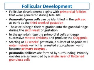 Follicular Development
• Follicular development begins with primordial follicles
that were generated during fetal life
• Primordial germ cells can be identified in the yolk sac
as early as the third week of gestation
• These cells begin their migration into the gonadal ridge
during the sixth week of gestation
• In the gonadal ridge the primordial cells undergo
successive mitotic divisions and produce the OOggonia
• Starting at 12 weeks’ gestation, a subset of oogonia will
enter meiosis –which is arrested at prophase I –and
become primary oocytes .
• primordial follicles are formed by surrounding Primary
oocytes are surrounded by a single layer of flattened
granulosa cells
 