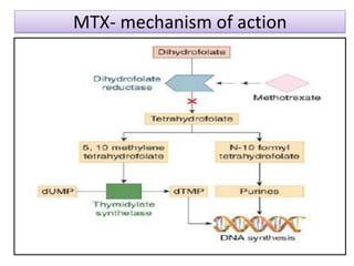MTX- mechanism of action
 