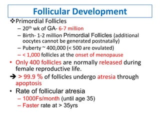 Follicular Development
Primordial Follicles
– 20th wk of GA- 6-7 million
– Birth- 1-2 million Primordial Follicles (additional
oocytes cannot be generated postnatally)
– Puberty ~ 400,000 (< 500 are ovulated)
– < 1,000 follicles at the onset of menopause
• Only 400 follicles are normally released during
female reproductive life.
 > 99.9 % of follicles undergo atresia through
apoptosis
• Rate of follicular atresia
– 1000Fs/month (until age 35)
– Faster rate at > 35yrs
 
