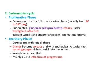 2. Endometrial cycle
• Proliferative Phase
– Corresponds to the follicular ovarian phase ( usually from 6th
to 14th day)
– Endometrial glandular cells proliferate, mainly under
estrogenic influence
– Tubular Glands and straight arterioles, edematous stroma
• Secretory Phase
– Correspond with luteal phase
– Glands become tortous and with subnuclear vacuoles that
secret glycogen rich material into the lumen
– Vessels become coiled
– Mainly due to influence of progestrone
 
