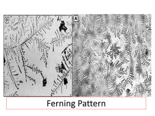 Ferning Pattern
 
