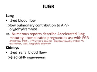 IUGR
Lung
• ↓ed blood flow
low pulmonary contribution to AFV-
olygohydramnios
 Numerous reports describe Accelerated lung
maturity I complicated pregnancies ass with FGR
(Perelman, 1985). ??? Stressadrenal Glucocorticoid secretion???
(Laatikainen, 1988). Negligible evidence
Kidneys
• ↓ed renal blood flow-
↓ed GFR- olygohydramnios
 