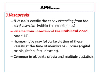 APH……
3.Vasaprevia
– B.Vesselss overlie the cervix extending from the
cord insertion (within the membranes)
– velamentous insertion of the umbilical cord,
rare~ 1%
– hemorrhage may follow laceration of these
vessels at the time of membrane rupture (digital
manipulation, fetal descent).
– Common in placenta previa and multiple gestation
 