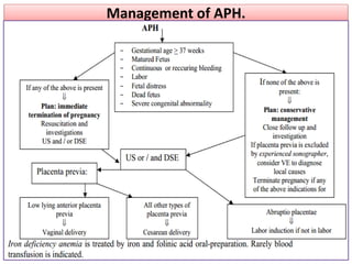 Management of APH.
 