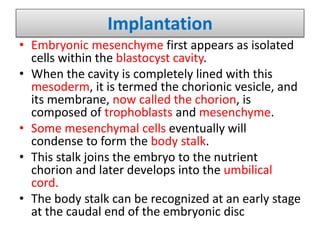 Implantation
• Embryonic mesenchyme first appears as isolated
cells within the blastocyst cavity.
• When the cavity is completely lined with this
mesoderm, it is termed the chorionic vesicle, and
its membrane, now called the chorion, is
composed of trophoblasts and mesenchyme.
• Some mesenchymal cells eventually will
condense to form the body stalk.
• This stalk joins the embryo to the nutrient
chorion and later develops into the umbilical
cord.
• The body stalk can be recognized at an early stage
at the caudal end of the embryonic disc
 