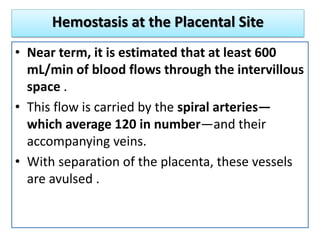 Hemostasis at the Placental Site
• Near term, it is estimated that at least 600
mL/min of blood flows through the intervillous
space .
• This flow is carried by the spiral arteries—
which average 120 in number—and their
accompanying veins.
• With separation of the placenta, these vessels
are avulsed .
 