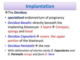 Implantation
The Decidua;
• specialized endometrium of pregnancy
• Decidua Basalis:-directly beneath the
implanting blastocyst- 3 layers Compact,
spongy and basal
• Decidua Capsularis covers the upper
portion of the blastocyst.
• Decidua Parietalis the rest
• With obliteration of uterine cavity D. Capsularies and
D. Parietalis merge and form D. Vera
 