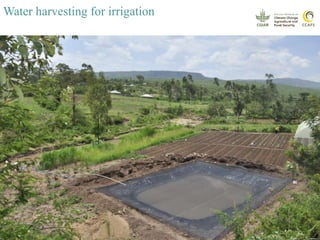 COP 22 Side Event: Youth Engagement in Climate-Smart Agriculture in Africa presentations