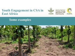 Youth CSA activities
CCAFS is working with youth groups in East Africa:
Smart farms – combination of CSA practices
−Greenh...