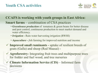 Greenhouse production of tomatoes
(4 youth groups in Nyando) – Kamula, Onyuongo, Obinju and
Kapsokale)
 