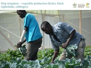 COP 22 Side Event: Youth Engagement in Climate-Smart Agriculture in Africa presentations