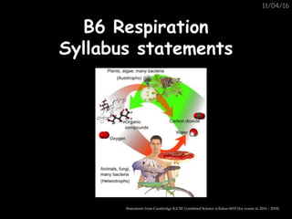 11/04/16
B6 RespirationB6 Respiration
Syllabus statementsSyllabus statements
Statements from Cambridge IGCSE Combined Science syllabus 0653 (for exams in 2016 – 2018)
 