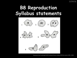 11/04/16
B8 ReproductionB8 Reproduction
Syllabus statementsSyllabus statements
Statements from Cambridge IGCSE Combined Science syllabus 0653 (for exams in 2016 – 2018)
 