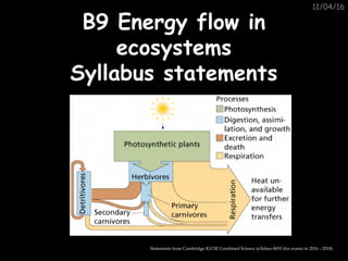 11/04/16
B9 Energy flow inB9 Energy flow in
ecosystemsecosystems
Syllabus statementsSyllabus statements
Statements from Cambridge IGCSE Combined Science syllabus 0653 (for exams in 2016 – 2018)