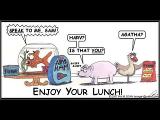 Enjoy Your Lunch 