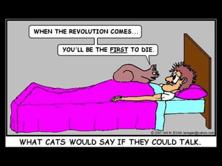 If Cats Talked 