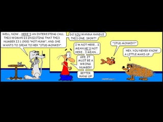Stud Monkey 