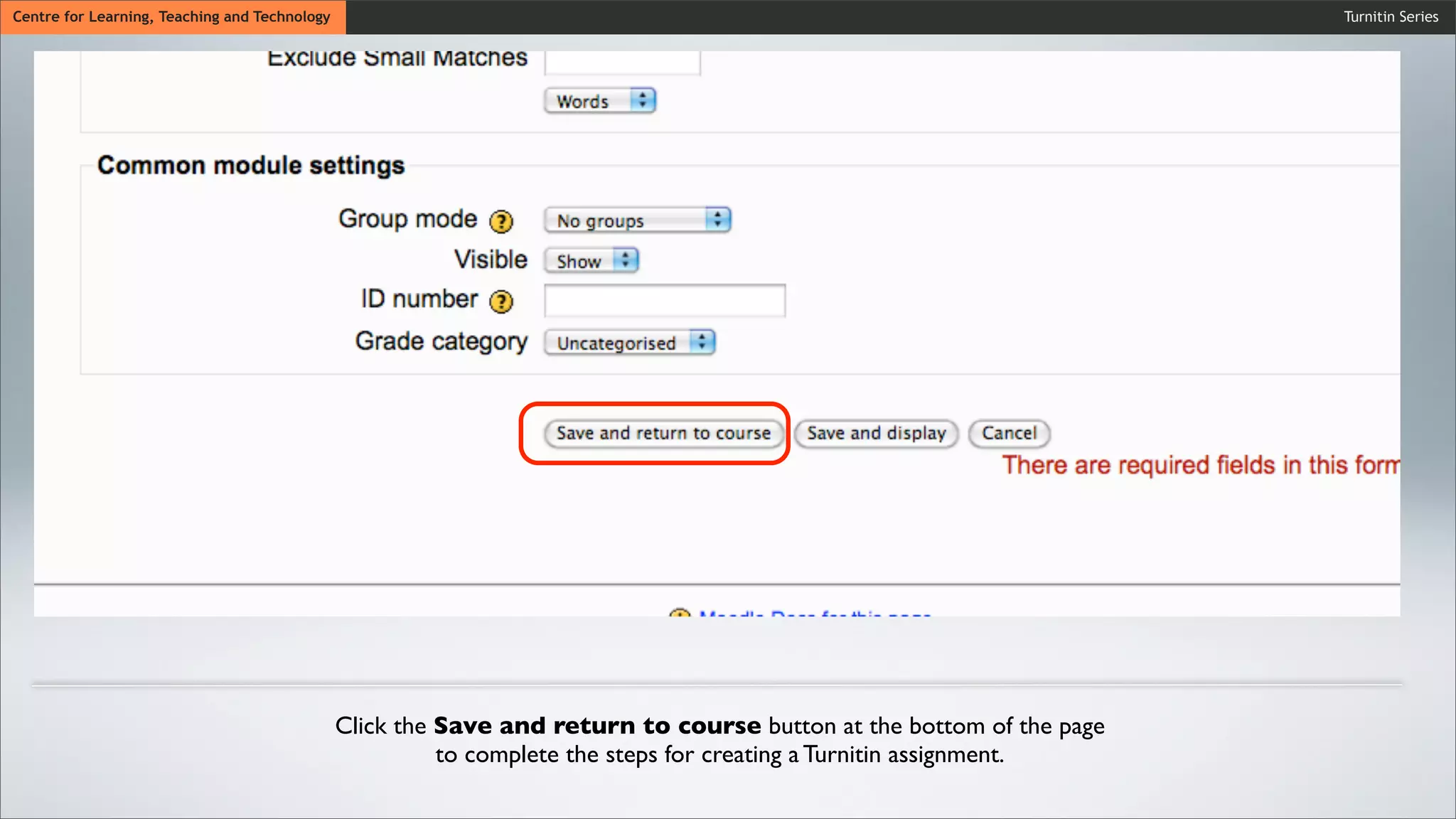 Turnitin SeriesCentre for Learning, Teaching and Technology
Click the Save and return to course button at the bottom of the page
to complete the steps for creating a Turnitin assignment.
 