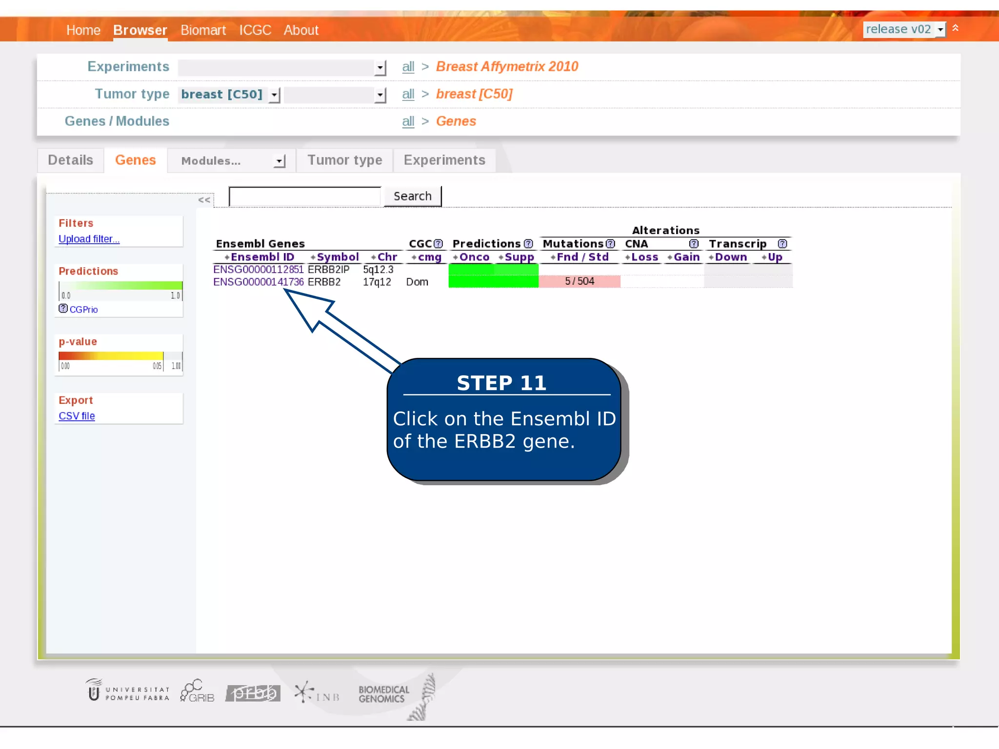 STEP 11
Click on the Ensembl ID
of the ERBB2 gene.
 