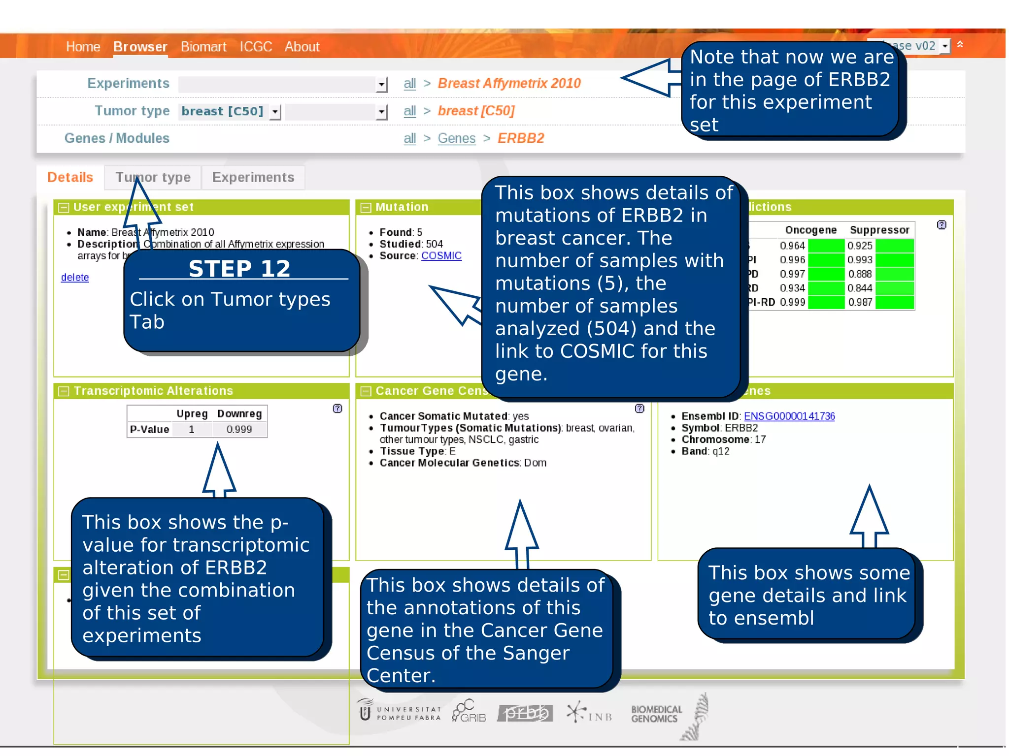 Note that now we are
                                                            in the page of ERBB2
                                                            for this experiment
                                                            set


                                        This box shows details of
                                        mutations of ERBB2 in
                                        breast cancer. The
                                        number of samples with
           STEP 12
                                        mutations (5), the
    Click on Tumor types                number of samples
    Tab                                 analyzed (504) and the
                                        link to COSMIC for this
                                        gene.




This box shows the p-
value for transcriptomic
alteration of ERBB2                                           This box shows some
given the combination      This box shows details of
                                                              gene details and link
of this set of             the annotations of this
                                                              to ensembl
experiments                gene in the Cancer Gene
                           Census of the Sanger
                           Center.
 