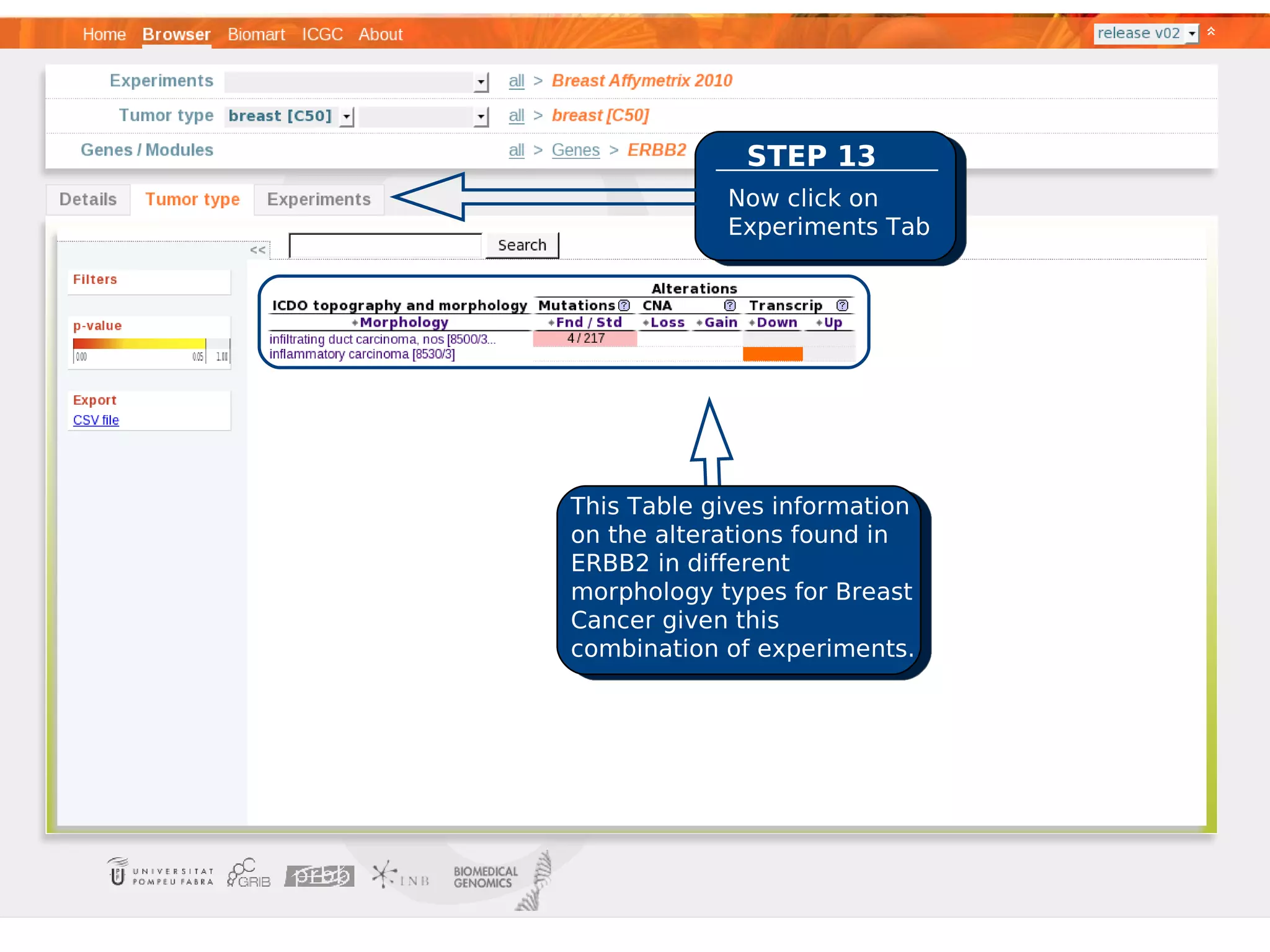 STEP 13
            Now click on
            Experiments Tab




This Table gives information
on the alterations found in
ERBB2 in different
morphology types for Breast
Cancer given this
combination of experiments.
 
