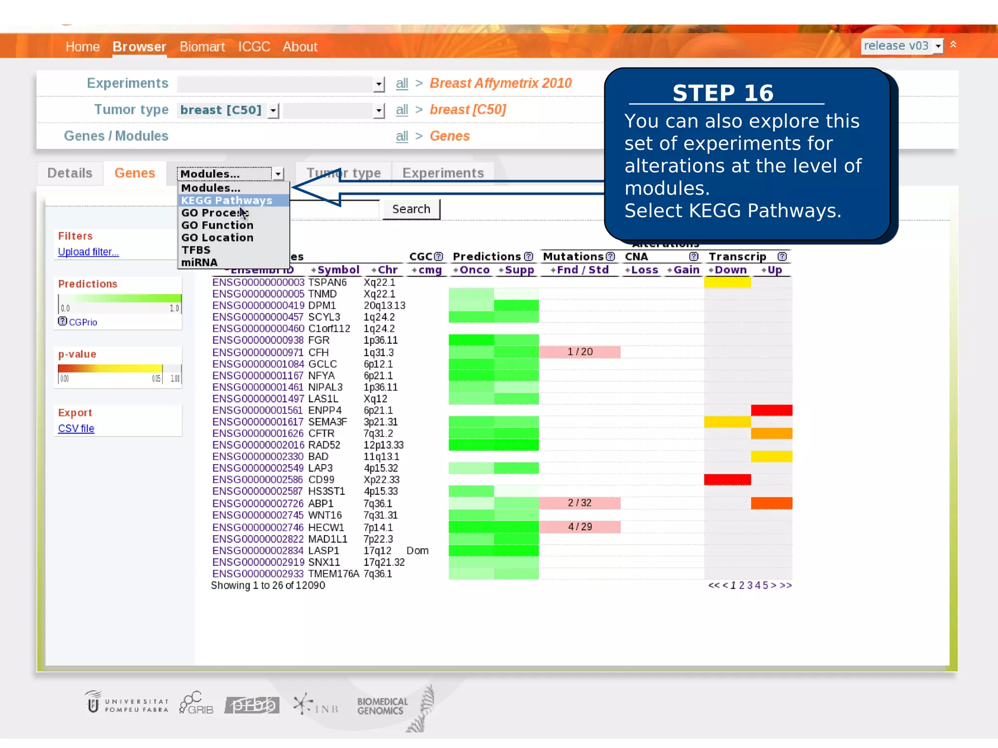 STEP 16
You can also explore this
set of experiments for
alterations at the level of
modules.
Select KEGG Pathways.
 