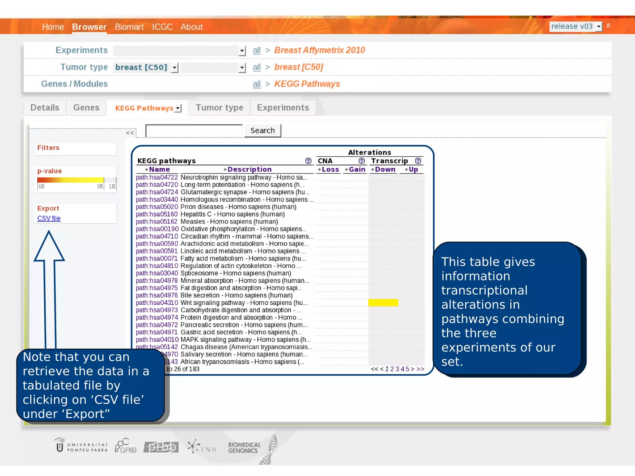 This table gives
                         information
                         transcriptional
                         alterations in
                         pathways combining
                         the three
                         experiments of our
Note that you can        set.
retrieve the data in a
tabulated file by
clicking on ‘CSV file’
under ‘Export”
 