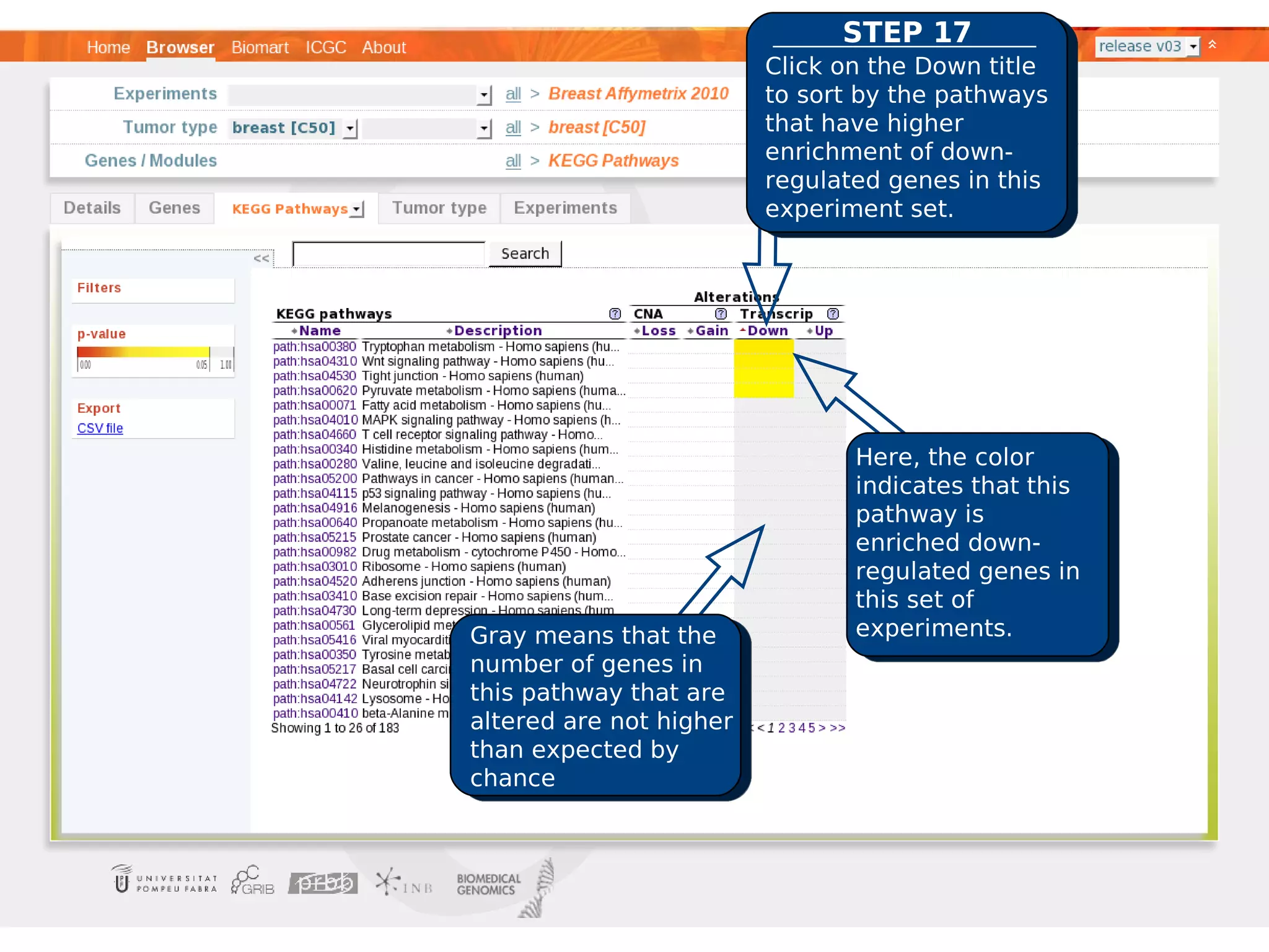 STEP 17
                         Click on the Down title
                         to sort by the pathways
                         that have higher
                         enrichment of down-
                         regulated genes in this
                         experiment set.




                                Here, the color
                                indicates that this
                                pathway is
                                enriched down-
                                regulated genes in
                                this set of
Gray means that the             experiments.
number of genes in
this pathway that are
altered are not higher
than expected by
chance
 