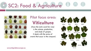 SC2: Food & Agriculture
5-avr.-17www.big-data-europe.eu
Pilot focus area:
Viticulture
(from the Latin word for vine)
is th...