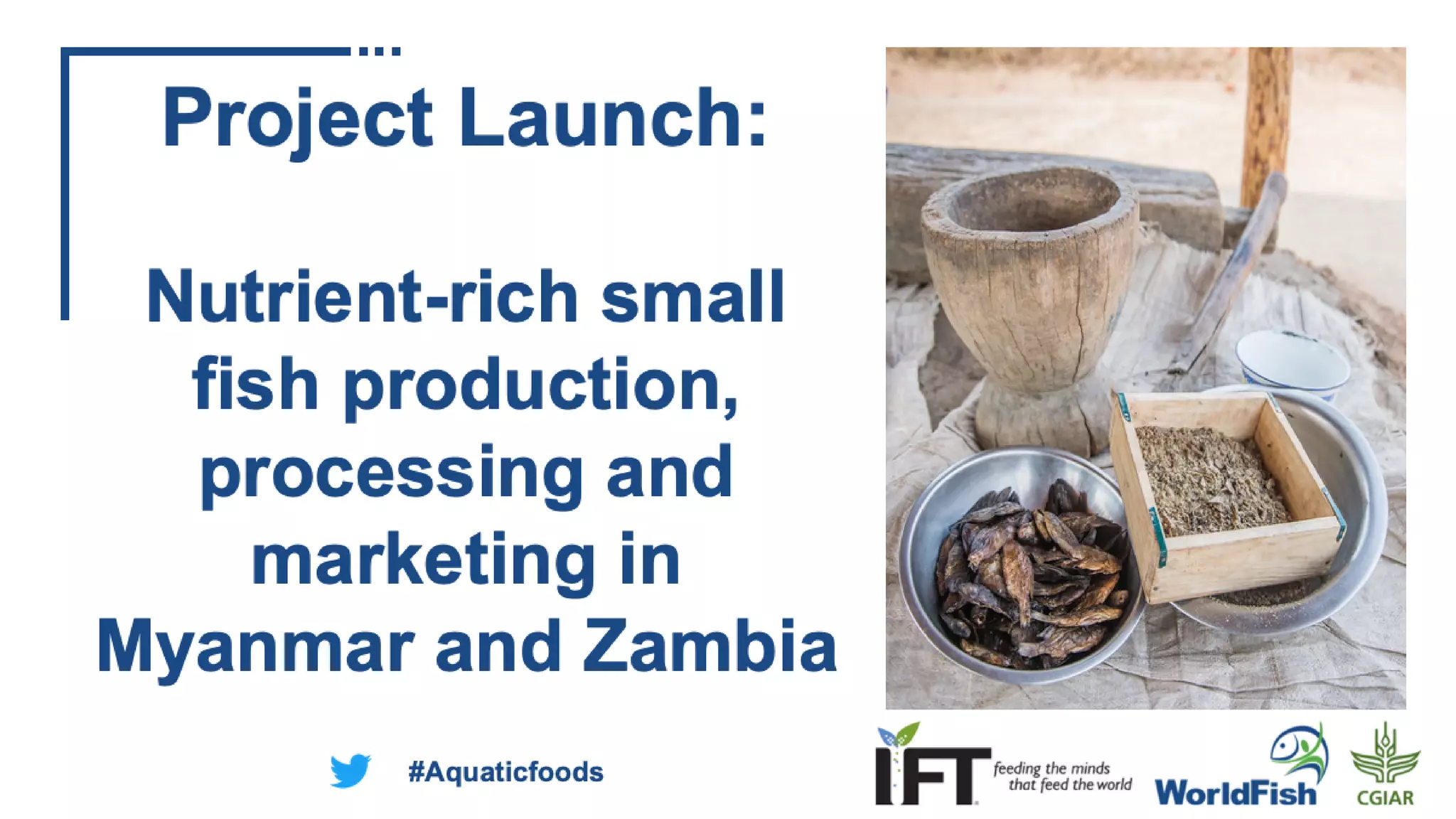 Project Launch Nutrientrich small fish production, processing and