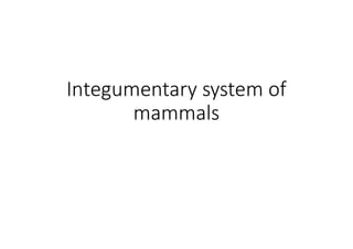 Integumentary system of
mammals
 
