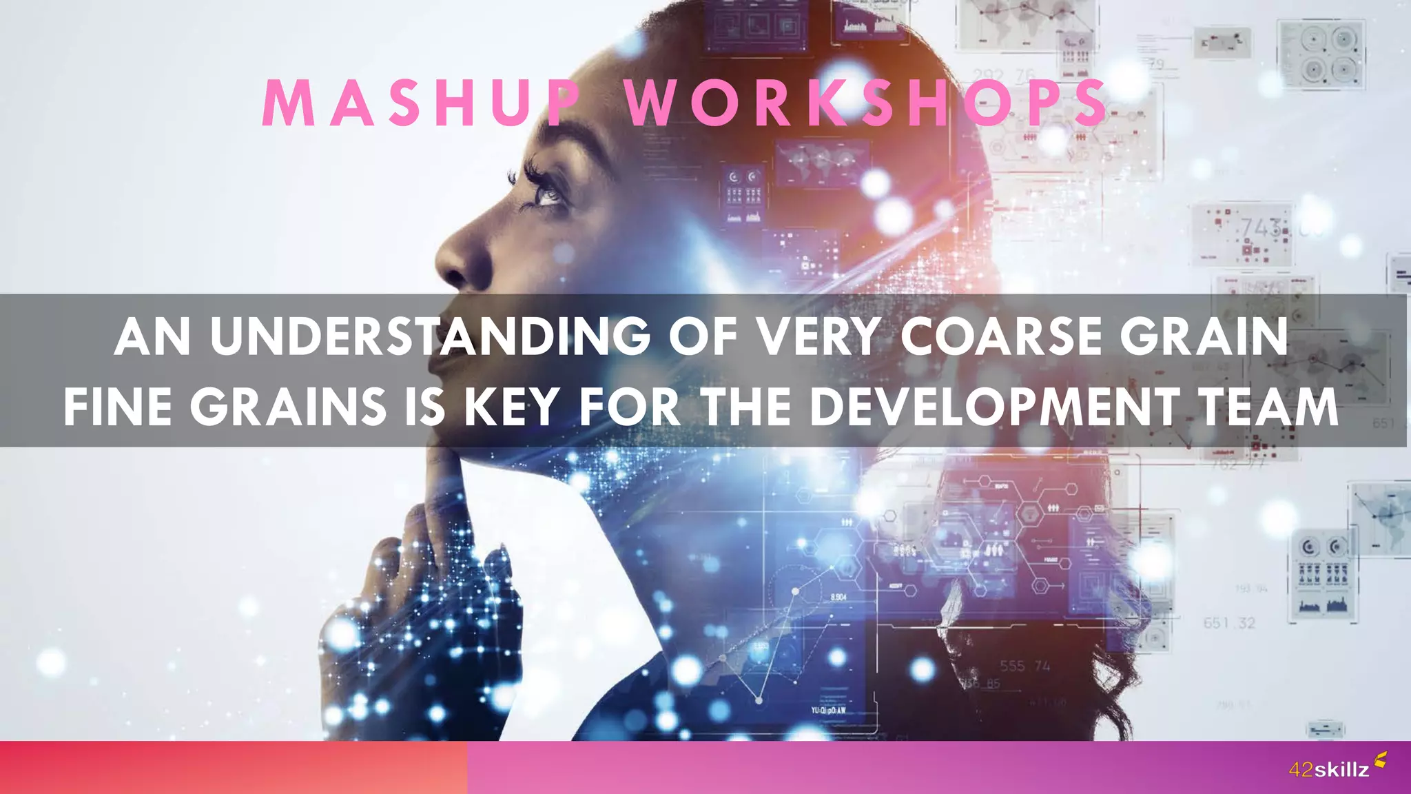 AN UNDERSTANDING OF VERY COARSE GRAIN
FINE GRAINS IS KEY FOR THE DEVELOPMENT TEAM
MASHUP WORKSHOPS
 