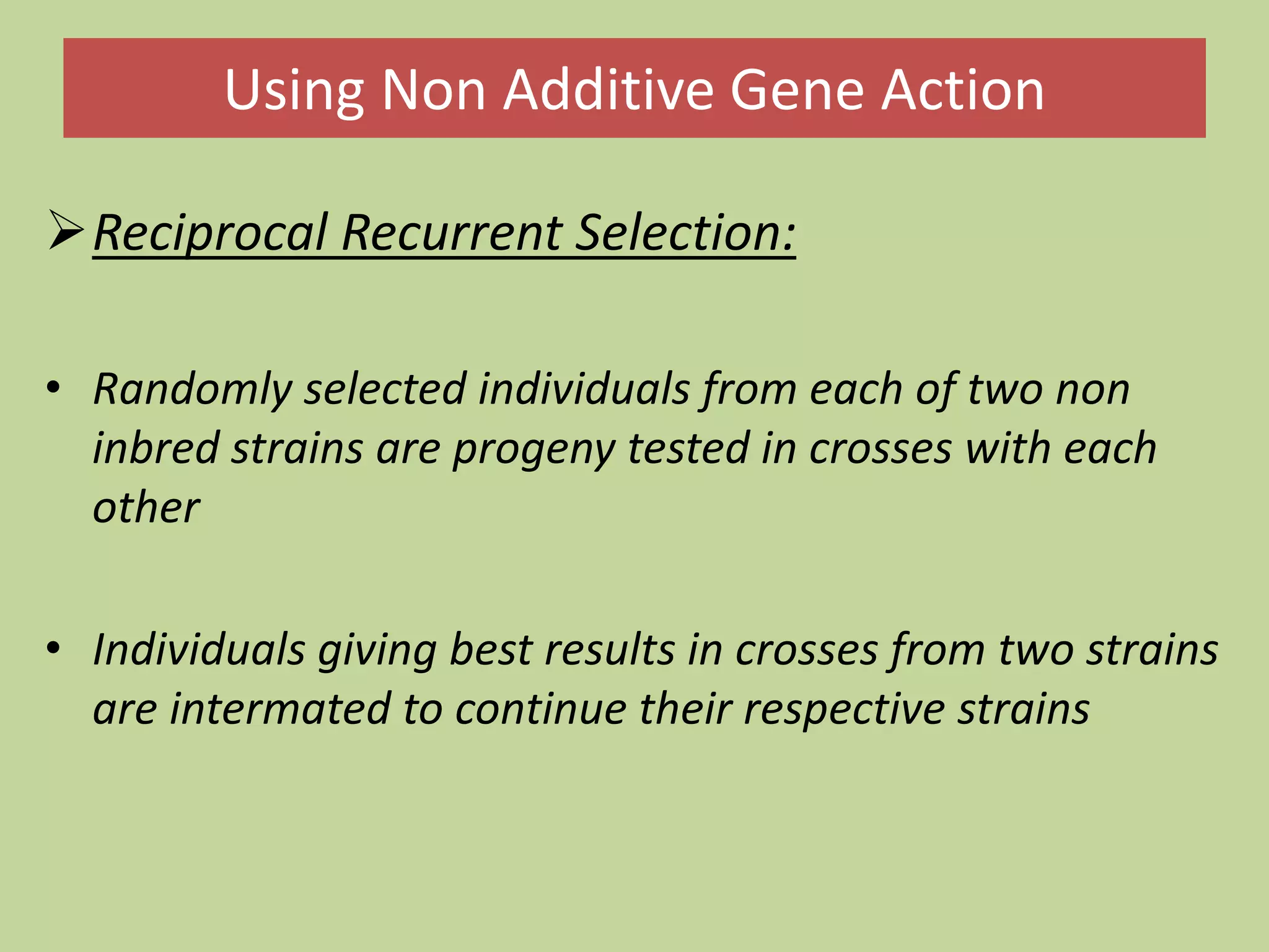 Using Non Additive Gene Action
Reciprocal Recurrent Selection:
• Randomly selected individuals from each of two non
inbred strains are progeny tested in crosses with each
other
• Individuals giving best results in crosses from two strains
are intermated to continue their respective strains
 