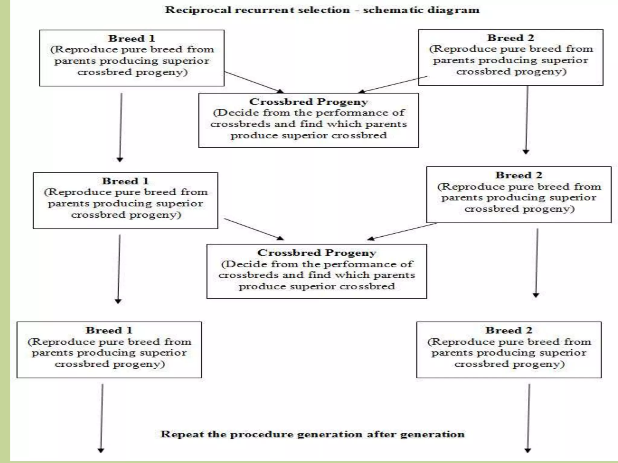 Selection for Combining ability