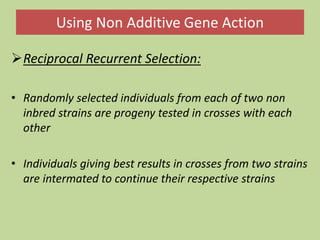 Using Non Additive Gene Action
Reciprocal Recurrent Selection:
• Randomly selected individuals from each of two non
inbred strains are progeny tested in crosses with each
other
• Individuals giving best results in crosses from two strains
are intermated to continue their respective strains
 
