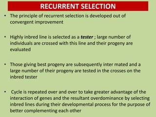 RECURRENT SELECTION
• The principle of recurrent selection is developed out of
convergent improvement
• Highly inbred line is selected as a tester ; large number of
individuals are crossed with this line and their progeny are
evaluated
• Those giving best progeny are subsequently inter mated and a
large number of their progeny are tested in the crosses on the
inbred tester
• Cycle is repeated over and over to take greater advantage of the
interaction of genes and the resultant overdominance by selecting
inbred lines during their developmental process for the purpose of
better complementing each other
 
