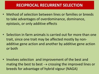 • Method of selection between lines or families or breeds
to take advantages of overdominance, dominance,
epistasis, or only additive effects
• Selection in farm animals is carried out for more than one
trait, since one trait may be affected mostly by non-
additive gene action and another by additive gene action
or both
• Involves selection and improvement of the best and
mating the best to best  crossing the improved lines or
breeds for advantage of hybrid vigour (NAGA)
RECIPROCAL RECURRENT SELECTION
 