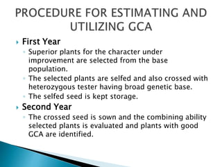  First Year
◦ Superior plants for the character under
improvement are selected from the base
population.
◦ The selected plants are selfed and also crossed with
heterozygous tester having broad genetic base.
◦ The selfed seed is kept storage.
 Second Year
◦ The crossed seed is sown and the combining ability
selected plants is evaluated and plants with good
GCA are identified.
 