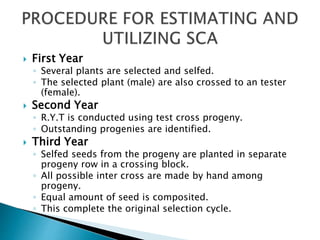  First Year
◦ Several plants are selected and selfed.
◦ The selected plant (male) are also crossed to an tester
(female).
 Second Year
◦ R.Y.T is conducted using test cross progeny.
◦ Outstanding progenies are identified.
 Third Year
◦ Selfed seeds from the progeny are planted in separate
progeny row in a crossing block.
◦ All possible inter cross are made by hand among
progeny.
◦ Equal amount of seed is composited.
◦ This complete the original selection cycle.
 