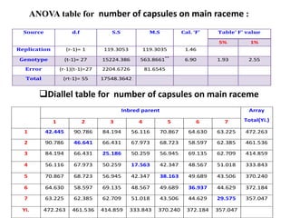 ANOVA table for number of capsules on main raceme :
Source d.f S.S M.S Cal. ‘F’ Table’ F’ value
5% 1%
Replication (r-1)= 1 119.3053 119.3035 1.46
Genotype (t-1)= 27 15224.386 563.8661**
6.90 1.93 2.55
Error (r-1)(t-1)=27 2204.6726 81.6545
Total (rt-1)= 55 17548.3642
Diallel table for number of capsules on main raceme
Inbred parent Array
Total(Yi.)
1 2 3 4 5 6 7
1 42.445 90.786 84.194 56.116 70.867 64.630 63.225 472.263
2 90.786 46.641 66.431 67.973 68.723 58.597 62.385 461.536
3 84.194 66.431 25.186 50.259 56.945 69.135 62.709 414.859
4 56.116 67.973 50.259 17.563 42.347 48.567 51.018 333.843
5 70.867 68.723 56.945 42.347 38.163 49.689 43.506 370.240
6 64.630 58.597 69.135 48.567 49.689 36.937 44.629 372.184
7 63.225 62.385 62.709 51.018 43.506 44.629 29.575 357.047
Yi. 472.263 461.536 414.859 333.843 370.240 372.184 357.047
 