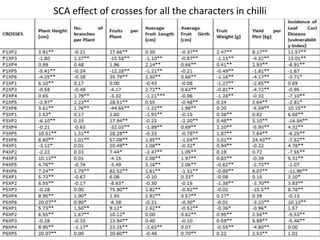 SCA effect of crosses for all the characters in chilli
 