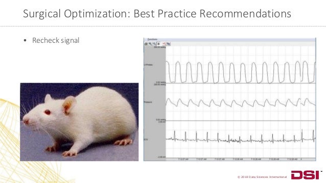 Examining New Research Capabilities And Technology For Preclinical Te