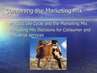 Combining the Marketing Mix ,[object Object],[object Object]