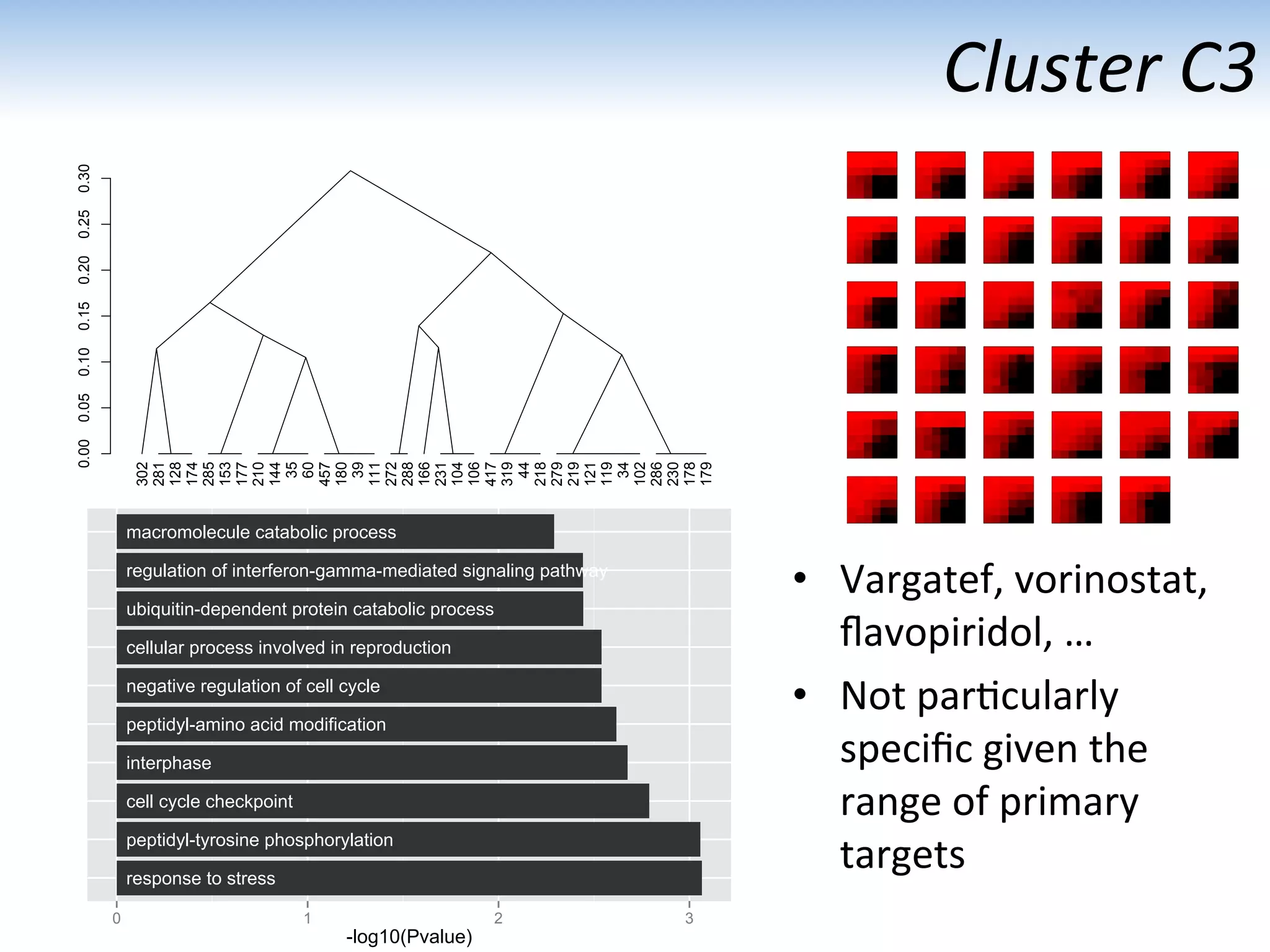 response to stress
peptidyl-tyrosine phosphorylation
cell cycle checkpoint
interphase
peptidyl-amino acid modification
negative regulation of cell cycle
cellular process involved in reproduction
ubiquitin-dependent protein catabolic process
regulation of interferon-gamma-mediated signaling pathway
macromolecule catabolic process
0 1 2 3
-log10(Pvalue)
Cluster	
  C3	
  
•  Vargatef,	
  vorinostat,	
  
ﬂavopiridol,	
  …	
  
•  Not	
  par:cularly	
  
speciﬁc	
  given	
  the	
  
range	
  of	
  primary	
  
targets	
  
0.000.050.100.150.200.250.30
302
281
128
174
285
153
177
210
144
35
60
457
180
39
111
272
288
166
231
104
106
417
319
44
218
279
219
121
119
34
102
286
230
178
179
 