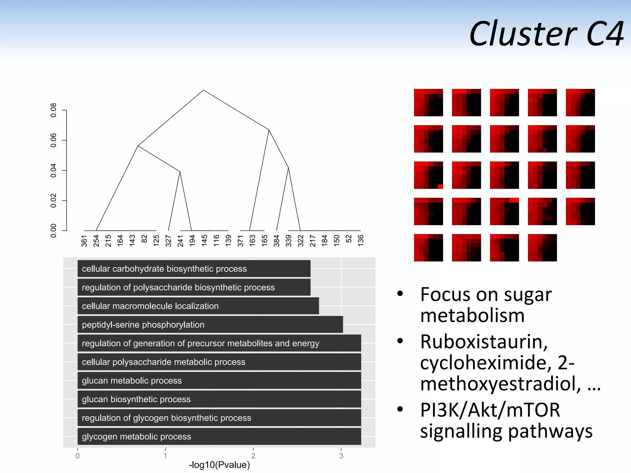 Cluster	
  C4	
  
•  Focus	
  on	
  sugar	
  
metabolism	
  	
  
•  Ruboxistaurin,	
  
cycloheximide,	
  2-­‐
methoxyestradiol,	
  …	
  
•  PI3K/Akt/mTOR	
  
signalling	
  pathways	
  glycogen metabolic process
regulation of glycogen biosynthetic process
glucan biosynthetic process
glucan metabolic process
cellular polysaccharide metabolic process
regulation of generation of precursor metabolites and energy
peptidyl-serine phosphorylation
cellular macromolecule localization
regulation of polysaccharide biosynthetic process
cellular carbohydrate biosynthetic process
0 1 2 3
-log10(Pvalue)
0.000.020.040.060.08
361
254
215
164
143
82
125
327
241
194
145
116
139
371
163
165
384
339
322
217
184
150
52
136
 