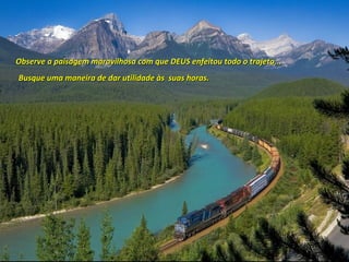 Observe a paisagem maravilhosa com que DEUS enfeitou todo o trajeto...Observe a paisagem maravilhosa com que DEUS enfeitou todo o trajeto...
Busque uma maneira de dar utilidade às suas horas.Busque uma maneira de dar utilidade às suas horas.
 